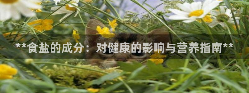 威九国际网站更新了吗