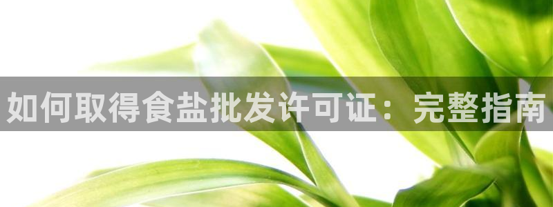 威九国际网站传媒招聘