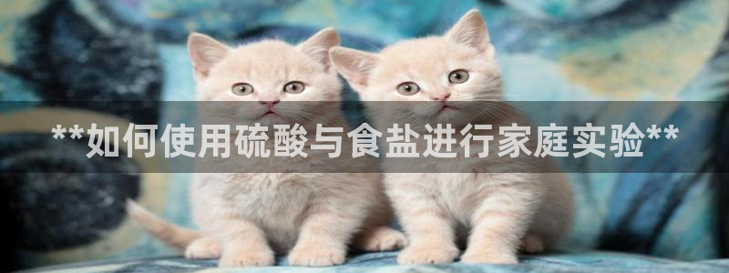 威九国际客服电话号码