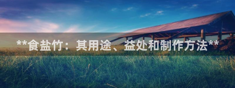 威九国际网站游戏