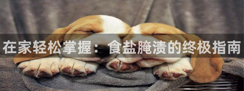 威九国际网站在哪里