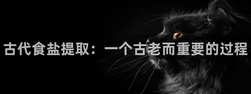 威九国际精忐