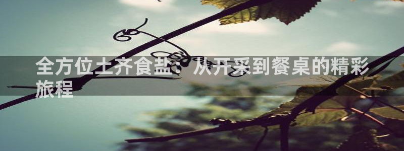 威九国际清砖码头在哪