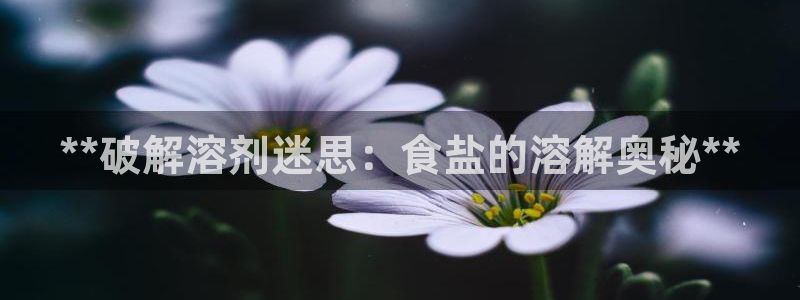 威九国际网站安全吗