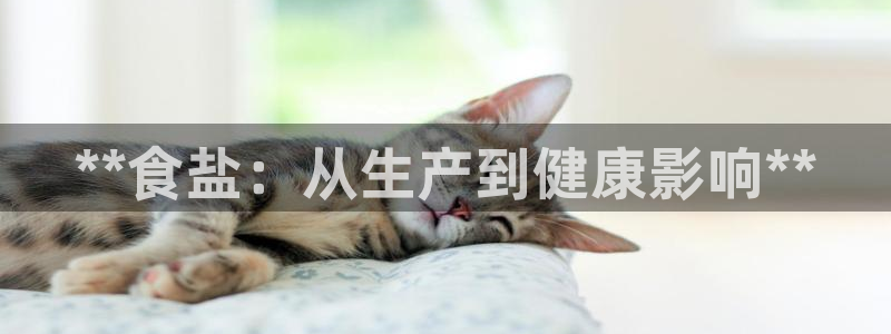 威九国际网站进入(中国)有限公司-官网
