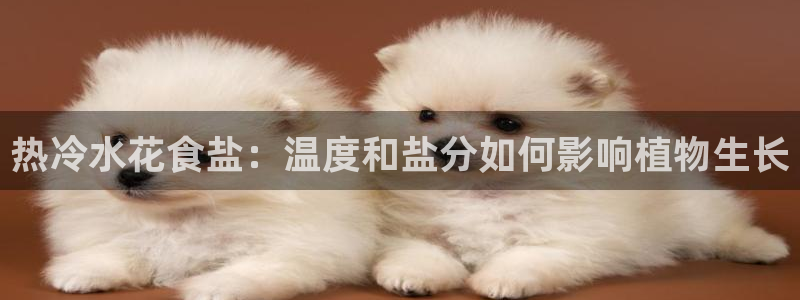 威九国际免费版