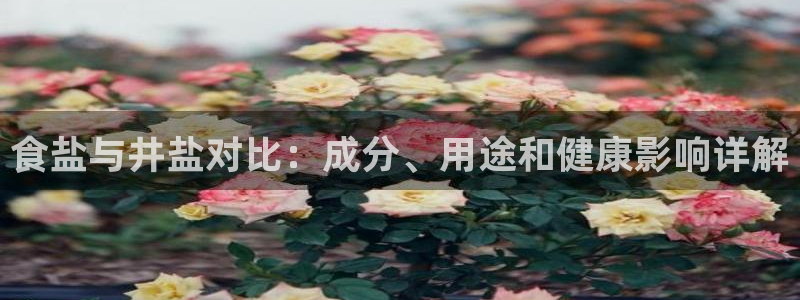 威九国际能提现吗