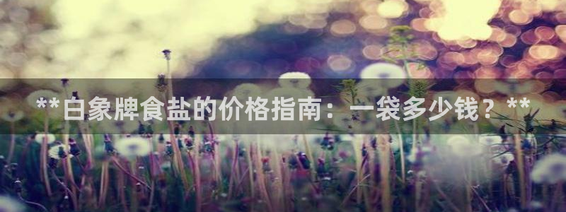 威九国际留学