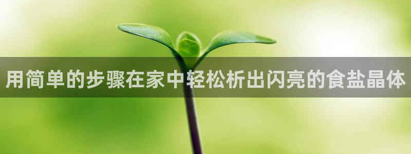 威九国际app客服电话多少