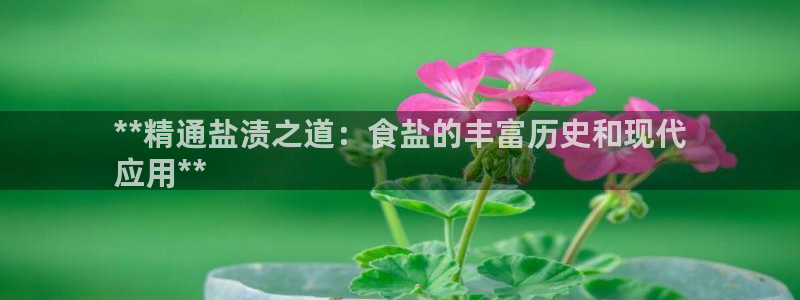 威九国际演员名单