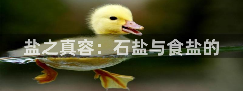 威九国际全国空降
