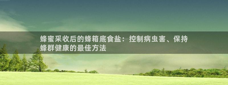 威九国际最新网站