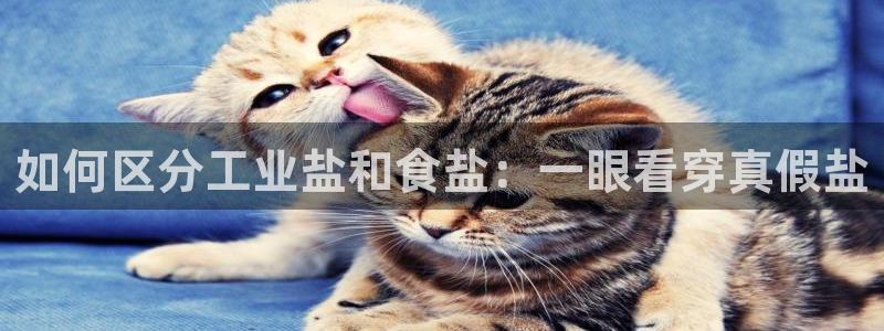 威九国际v9