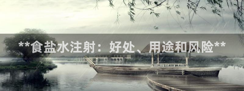 威九国际top