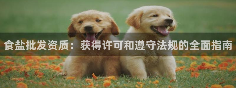 威九国际和之前