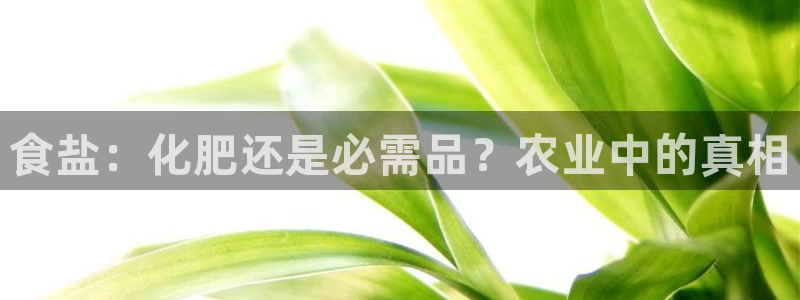 威九国际可以提现吗是真的吗