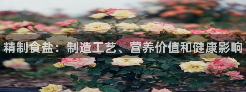 威九国际全国空降
