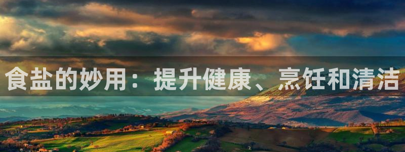 威九国际APP