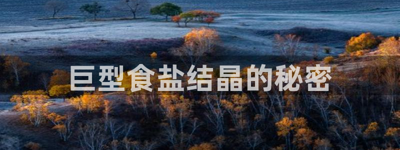 78mapp威九国际官网