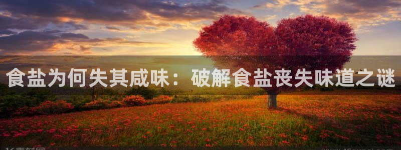 威九国际网站入口rdquo