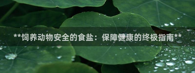 威九国际网站进入产品中心怎么进
