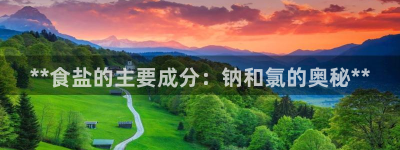 保定威九网络科技有限公司