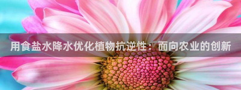 威九国际cm78