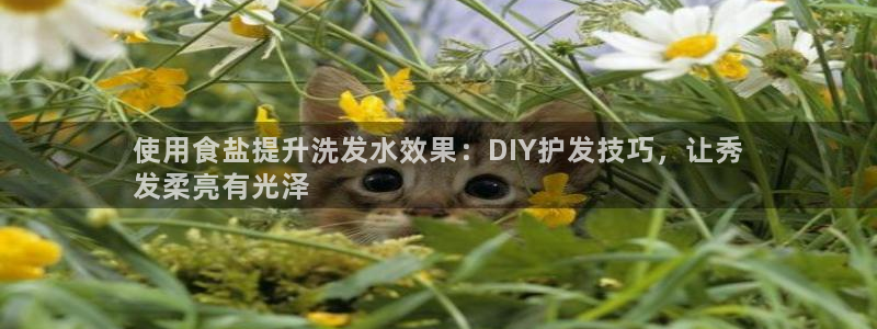 威九国际AN