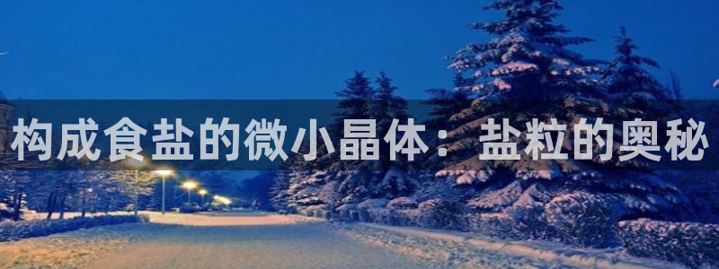威九国际网站下载