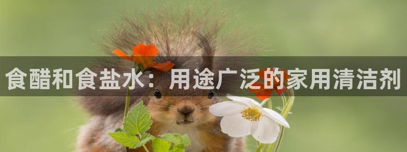 威九国际78mapp官网版下载