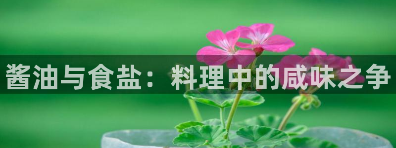 威九国际国精彩片段