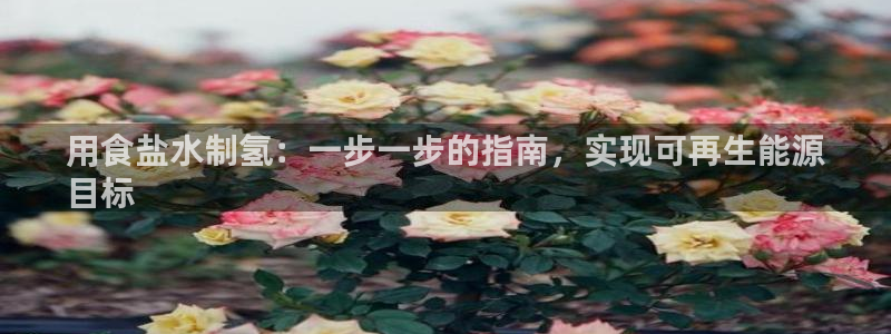 威九国际第一页