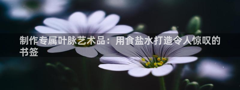 保定威九网络科技有限公司电话
