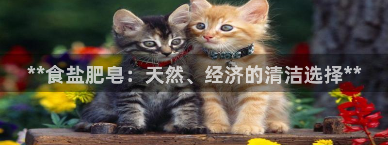 威九国际ppt免费