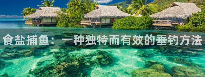 78mapp威九国际网