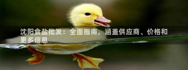 威九国际娜娜