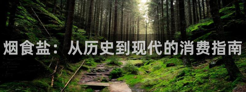 威九国际ppt免费下载网址