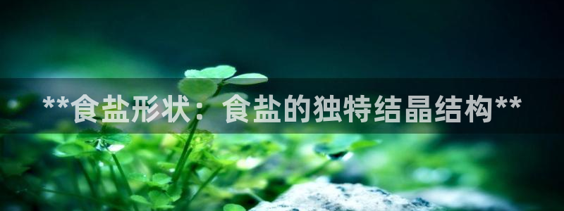 威九国际网站客服电话多少号码