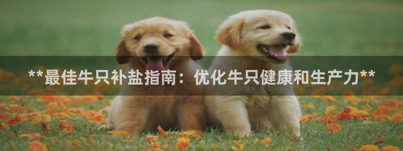 威九国际提款不出来