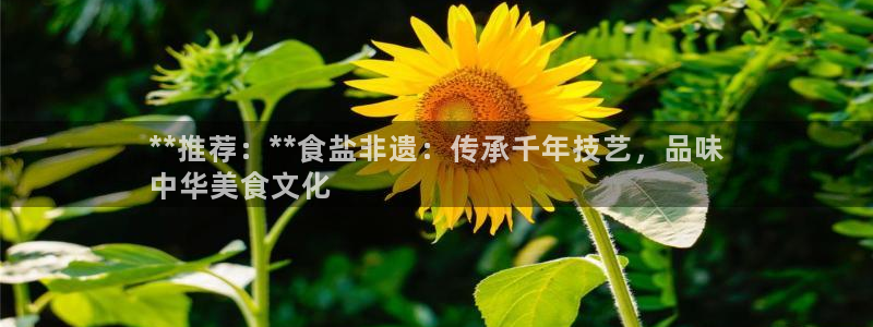 威九国际app无法登陆怎么回事