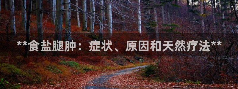 威九国际ppt免费下载