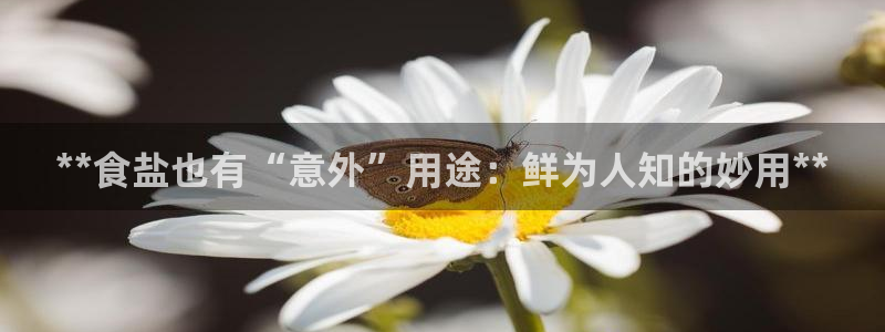 威九国际网站入口官网免费下载