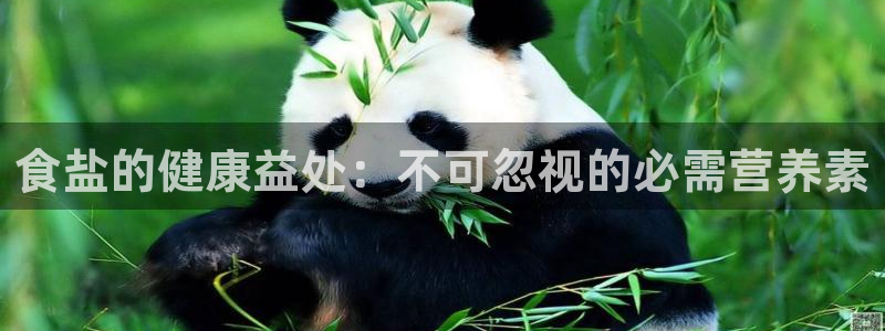 威九国际网站入口官网免费