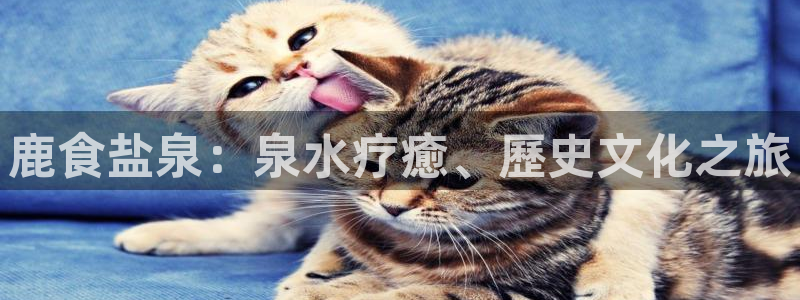威九国际韩国
