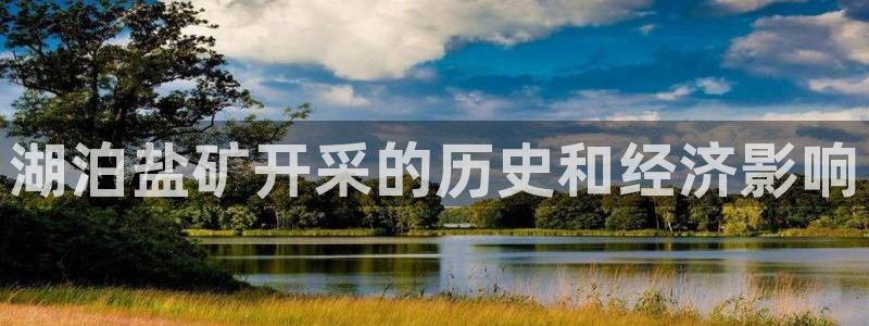威九国际66m66m电影