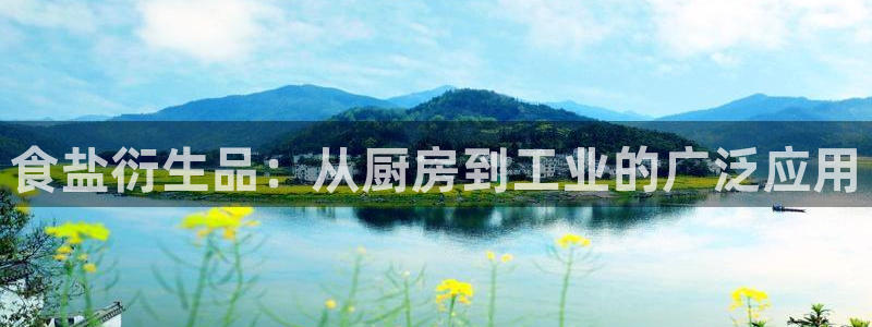 威九国际电视