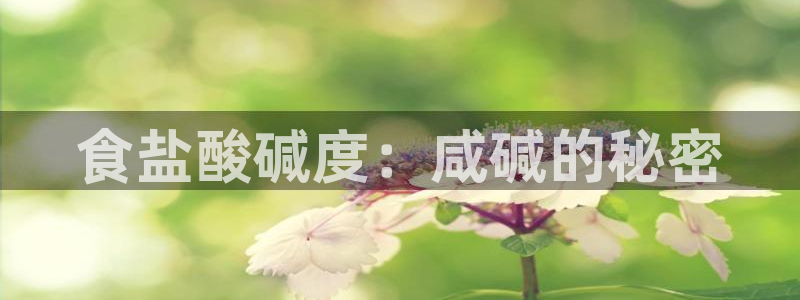 威九国际网站怎么样可靠吗