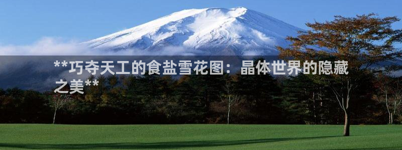 威九国际网站传媒