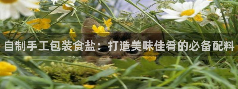 威九国际app
