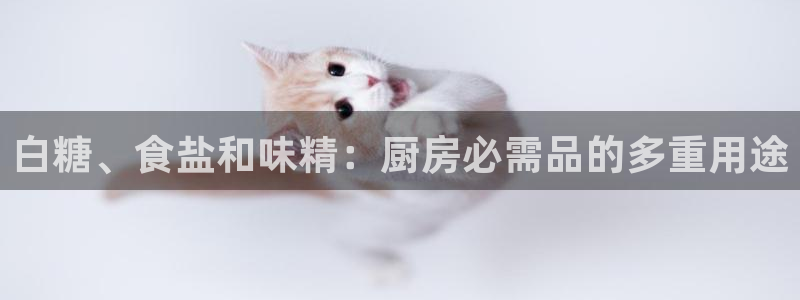 威九国际MM